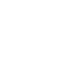 MDS Icons - borders - white-01