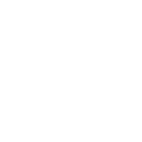 MDS Icons - borders - white-04